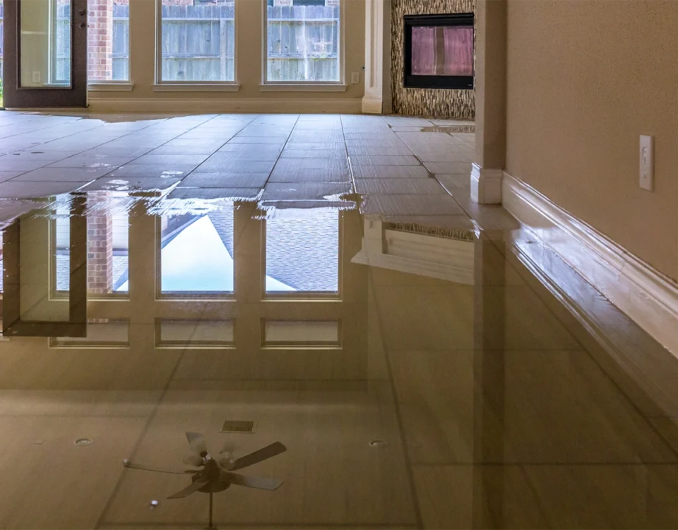 Water on the floor inside a home after a leak, showing early water damage